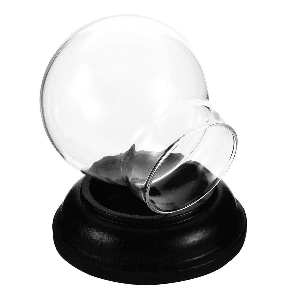 Plastic Dome Clear - Empty Fillable Glass Snow Globe Dome