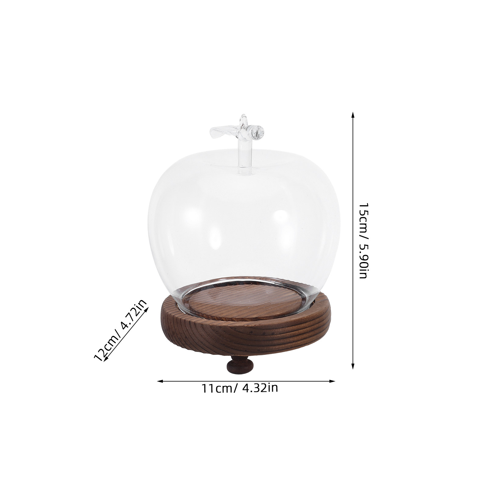 Glass Dome Cloche Clear Displa - Plastic Dome Clear recensione e prezzo