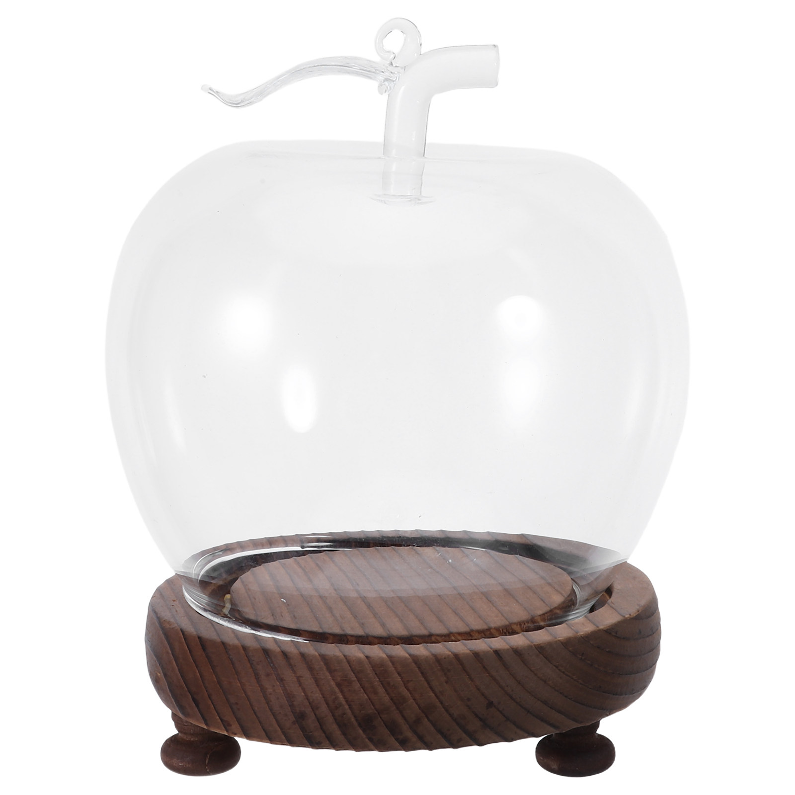 Glass Dome Cloche Clear Displa - Plastic Dome Clear recensione e prezzo
