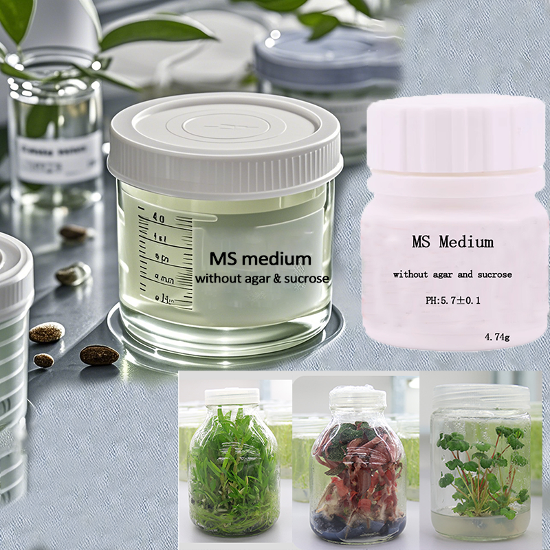 MS medium Without Agar Or Sucr - Agar Tissue Culture recensione e prezzo