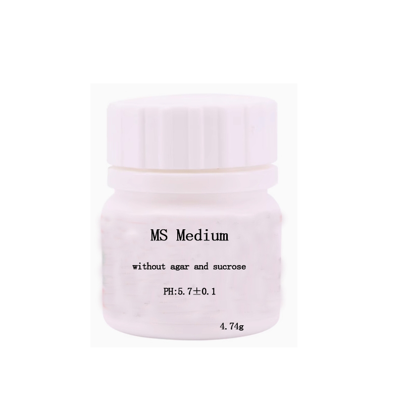 MS medium Without Agar Or Sucr - Agar Tissue Culture recensione e prezzo