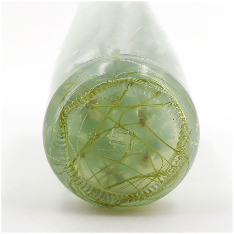MS medium Without Agar Or Sucr - Agar Tissue Culture recensione e prezzo