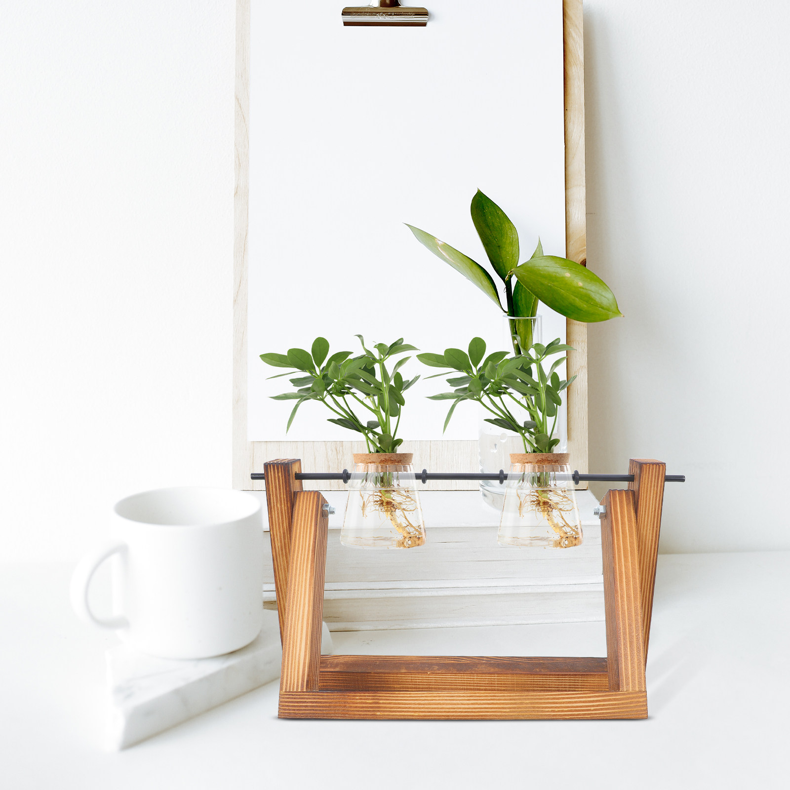 Hydroponic Propagating Jars Ho - Propagation Station Vase recensione e prezzo