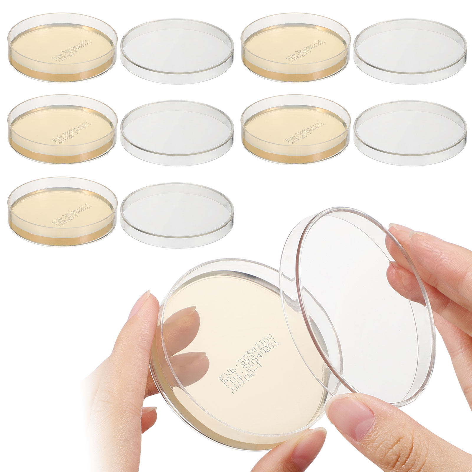 Agar Plates 10pcs Ready to Use - Agar Tissue Culture recensione e prezzo