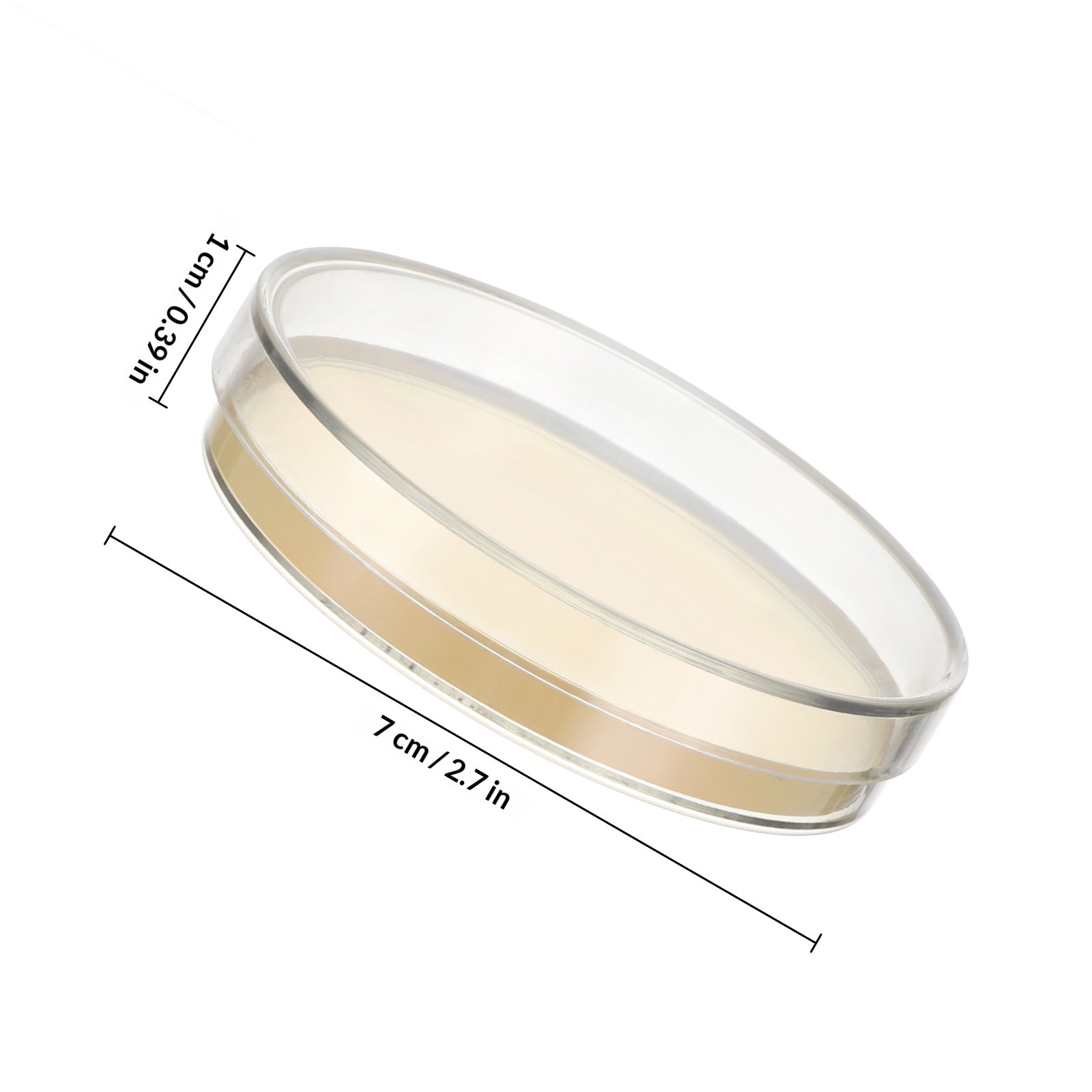 Agar Plates 10pcs Ready to Use - Agar Tissue Culture recensione e prezzo