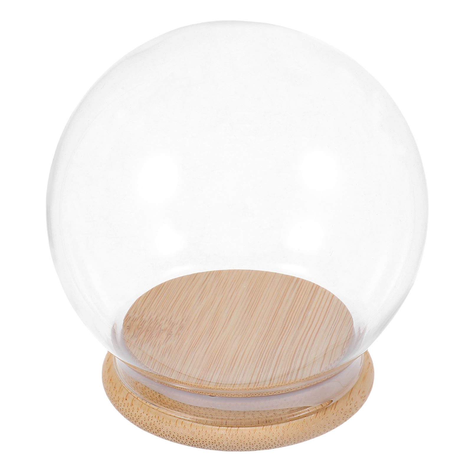 Glass Dome Eternal Flower Disp - Plastic Dome Clear recensione e prezzo