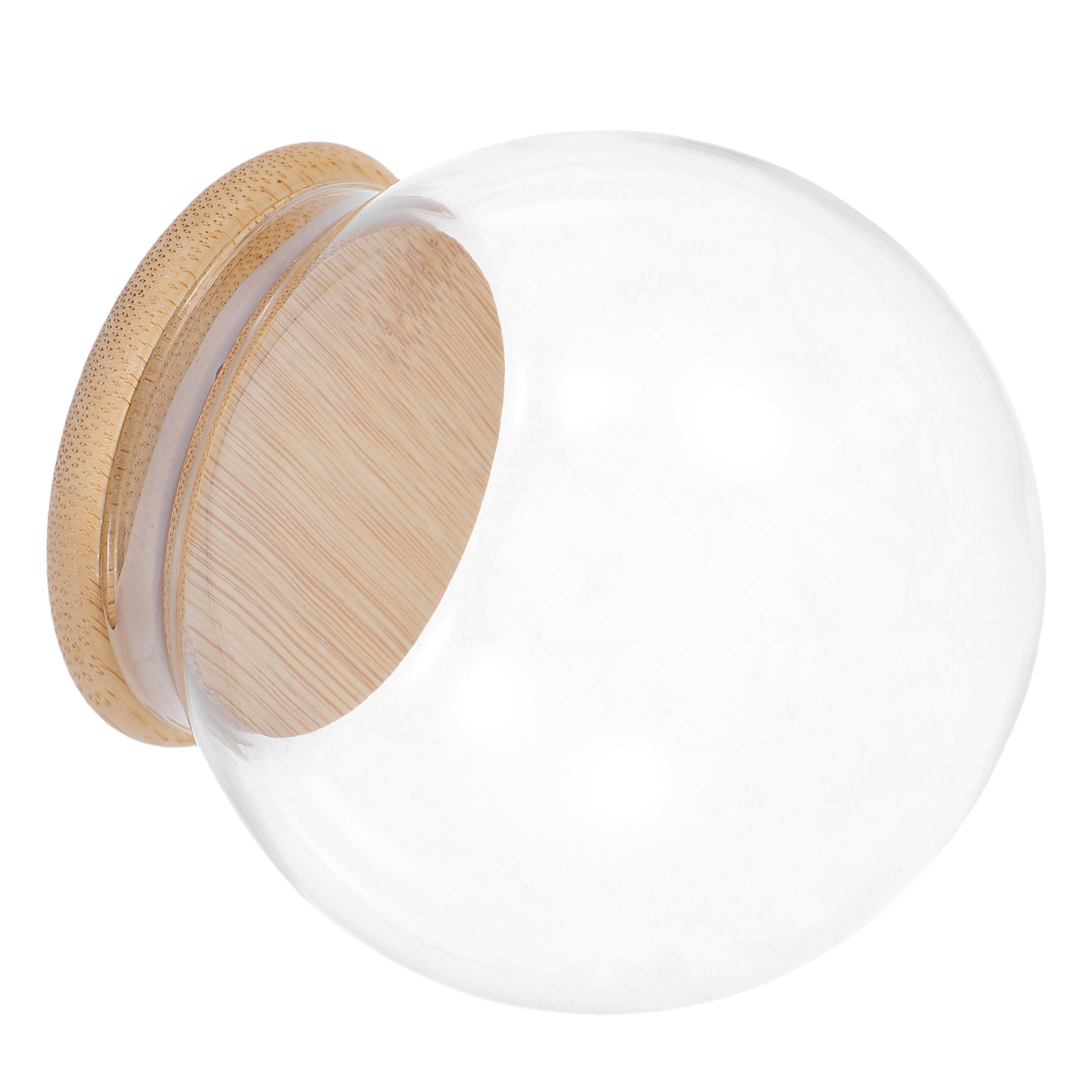 Glass Dome Eternal Flower Disp - Plastic Dome Clear recensione e prezzo