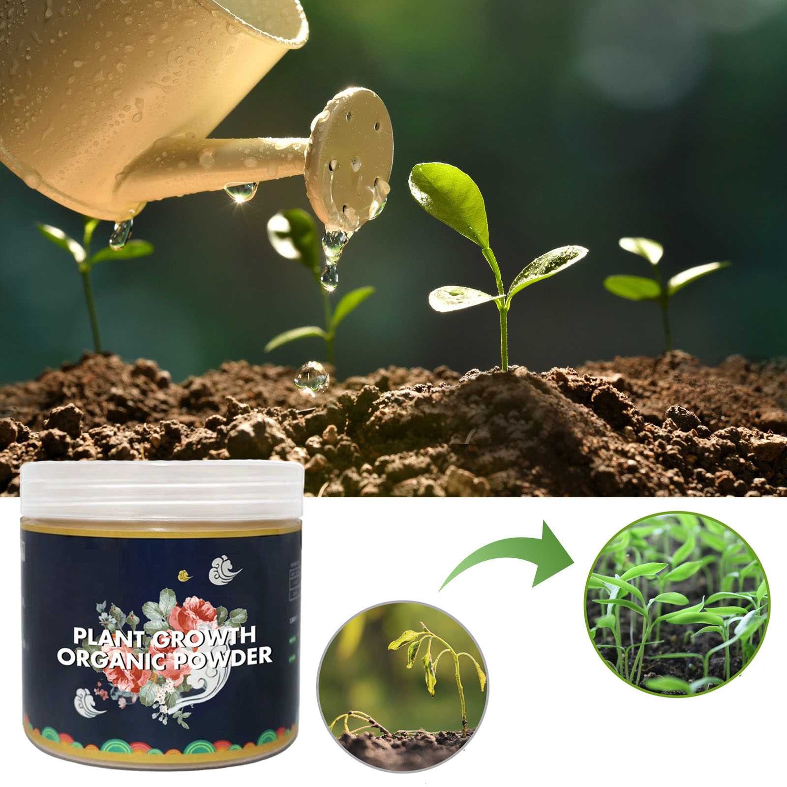 Fast Rooting Powder Plant Soil - Rooting Hormone Powder recensione e prezzo