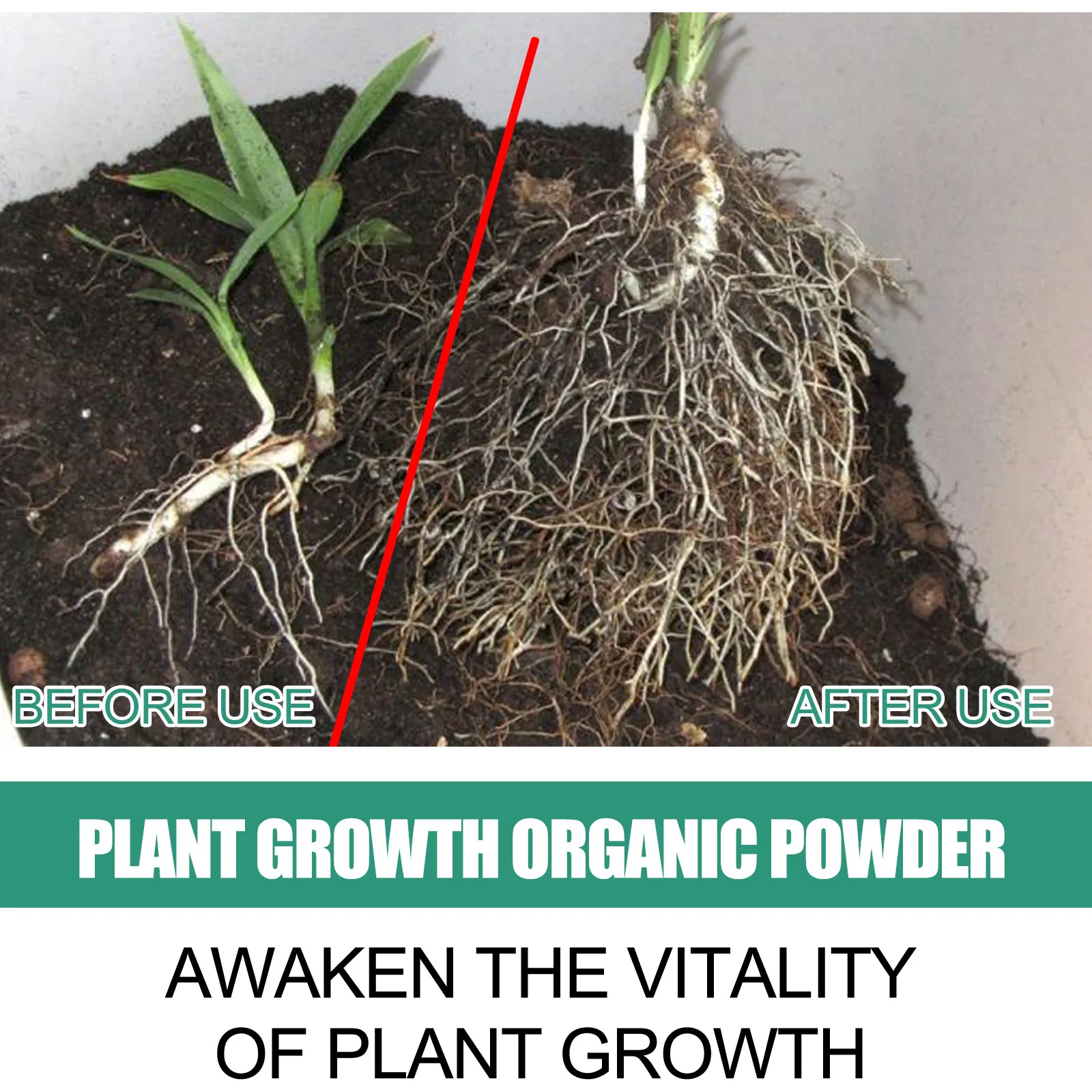 Fast Rooting Powder Plant Soil - Rooting Hormone Powder recensione e prezzo