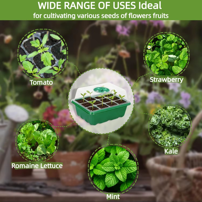 Seed Starter Tray Mini Greenho - Humidity Dome Kit recensione e prezzo