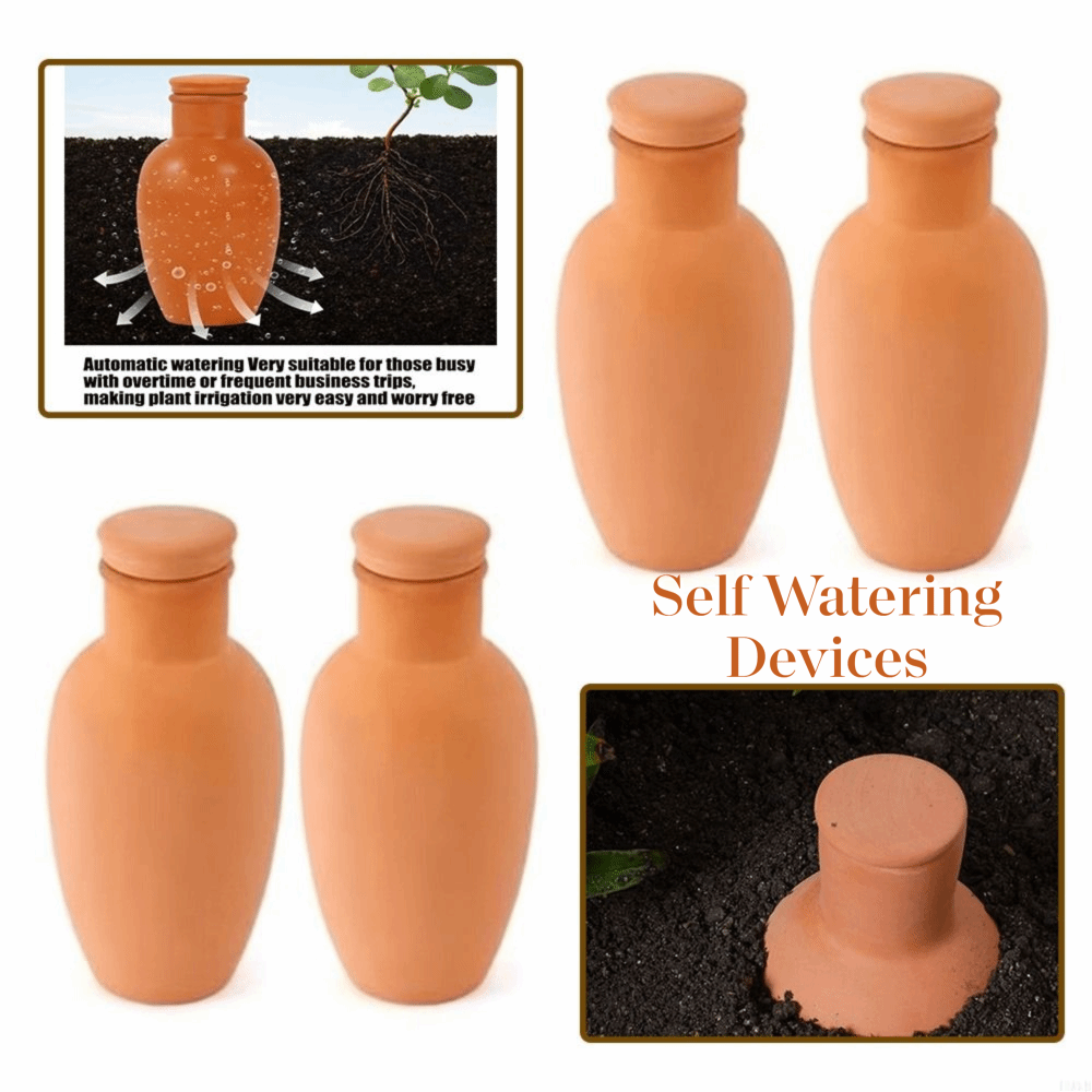 4Pcs Terracotta Material Autom - Self Watering Insert recensione e prezzo