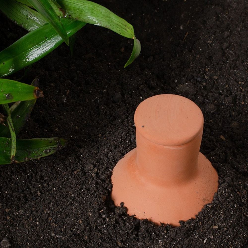 4Pcs Terracotta Material Autom - Self Watering Insert recensione e prezzo
