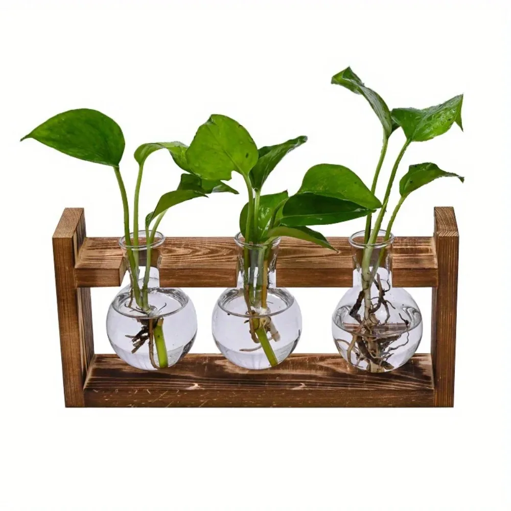 Tabletop Glass Planter Propaga - Propagation Station Vase recensione e prezzo