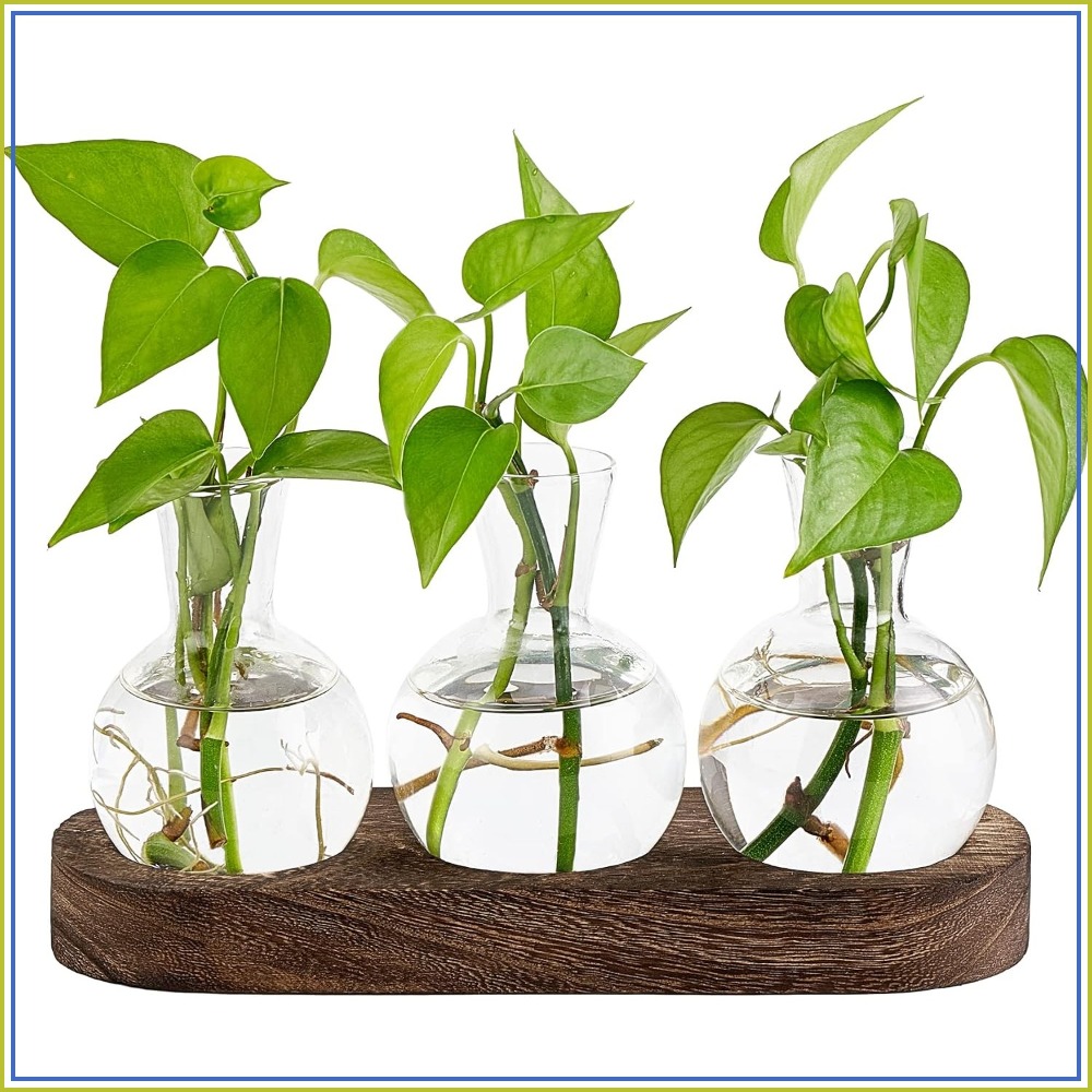 Desktop Plant Propagation Stat - Propagation Station Vase recensione e prezzo