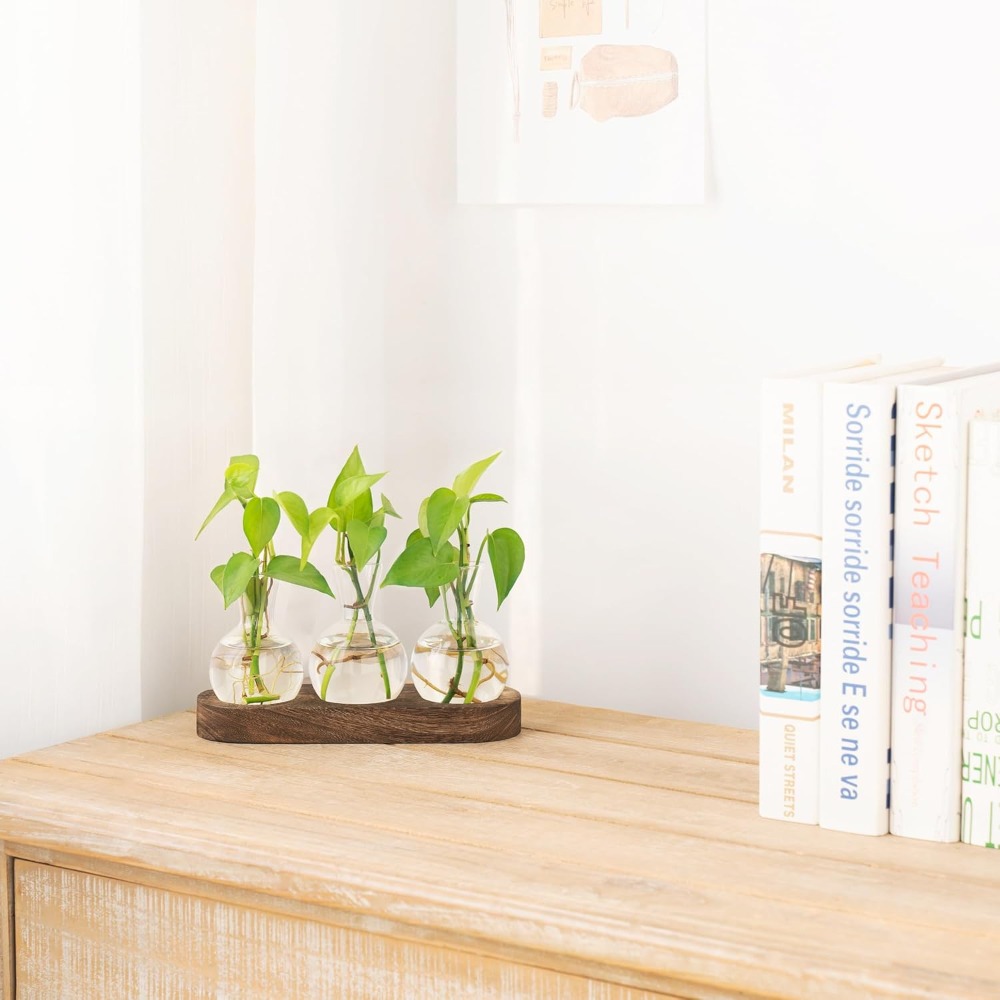 Desktop Plant Propagation Stat - Propagation Station Vase recensione e prezzo