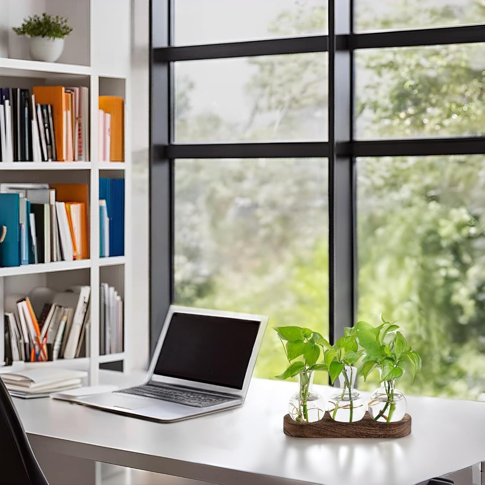 Desktop Plant Propagation Stat - Propagation Station Vase recensione e prezzo