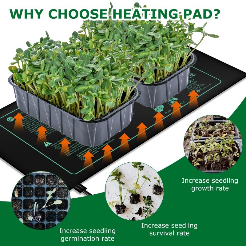 Seedling Heating Mat  Indoor P - Rooting Gel Clone recensione e prezzo