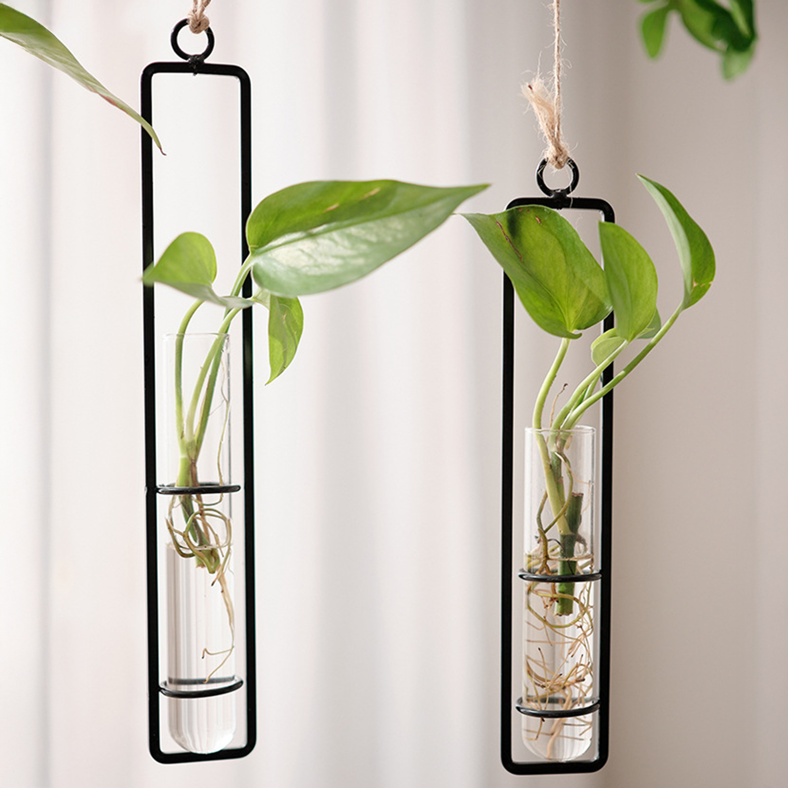 Wall Hanging Glass Vase Europe - Propagation Station Vase recensione e prezzo