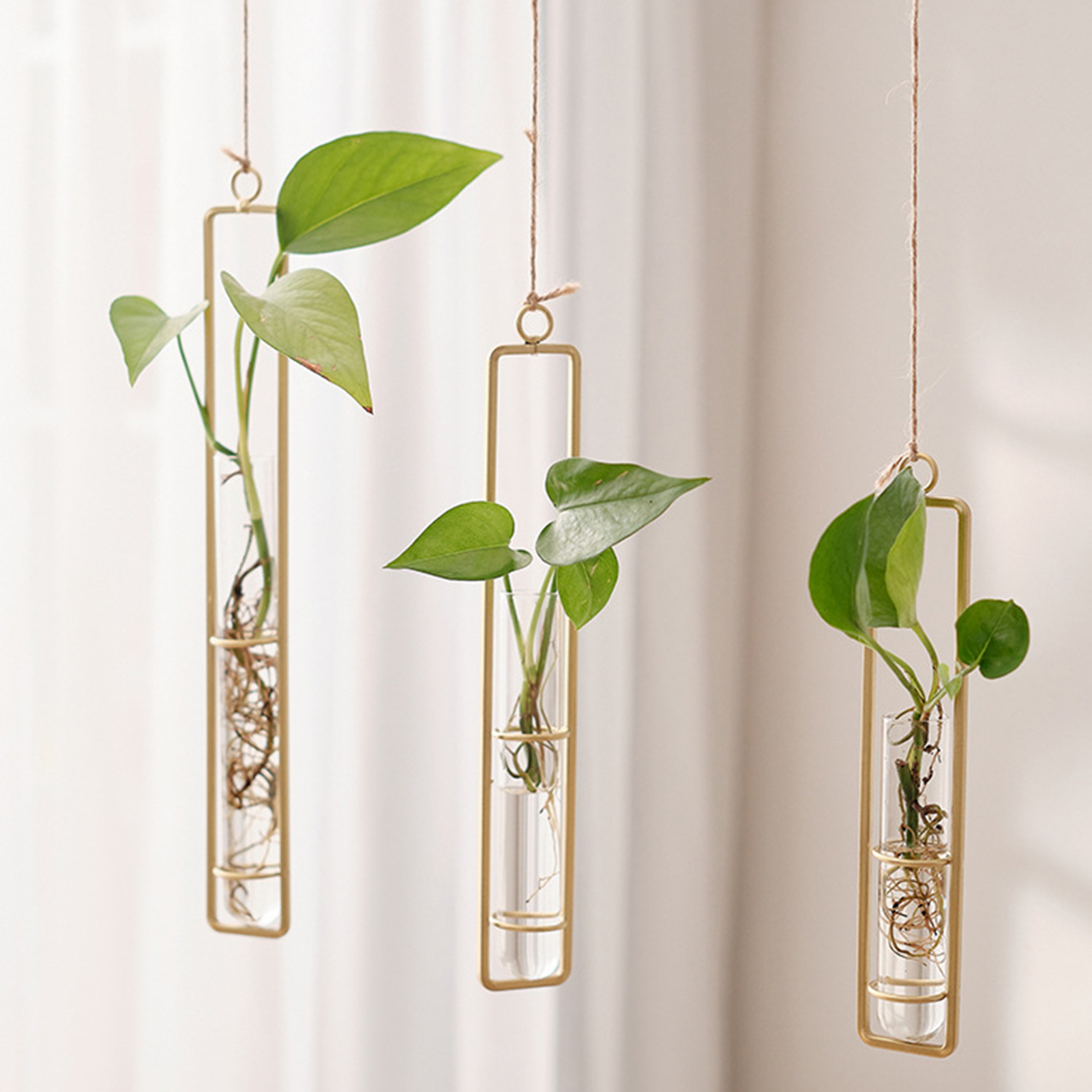 Wall Hanging Glass Vase Europe - Propagation Station Vase recensione e prezzo