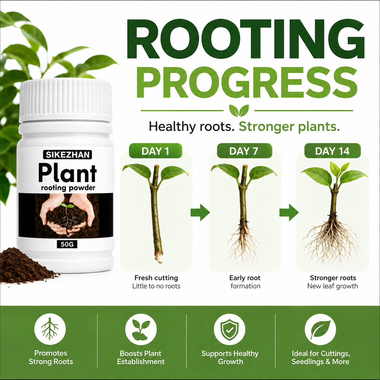 50g Rapid Rooting Powder Plant - Rooting Hormone Powder recensione e prezzo