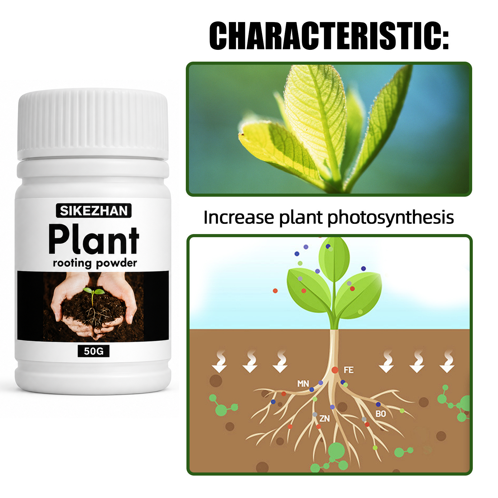 50g Rapid Rooting Powder Plant - Rooting Hormone Powder recensione e prezzo