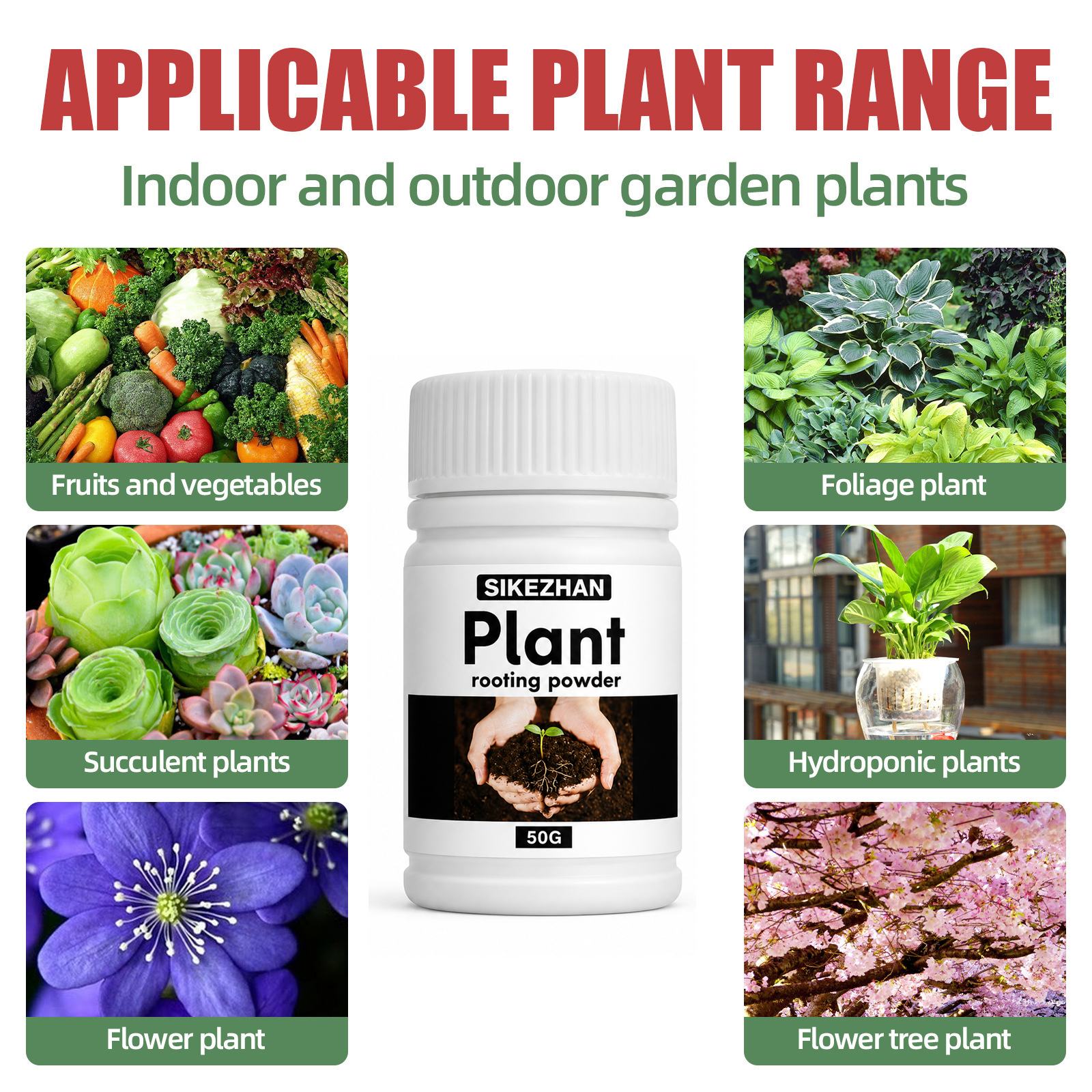 50g Rapid Rooting Powder Plant - Rooting Hormone Powder recensione e prezzo