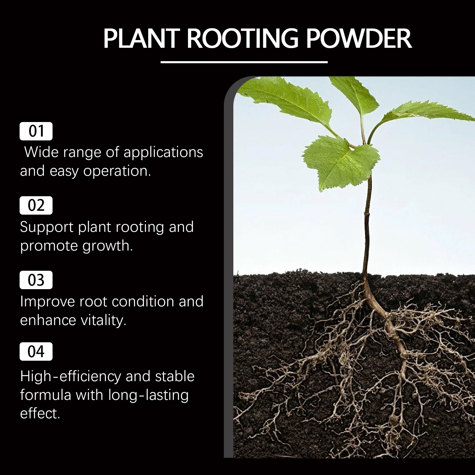 50g Rapid Rooting Powder Plant - Rooting Hormone Powder recensione e prezzo