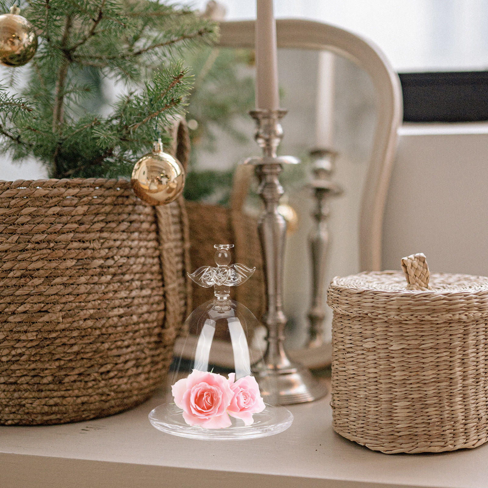 Angel Clear Display Dome for P - Plastic Dome Clear recensione e prezzo