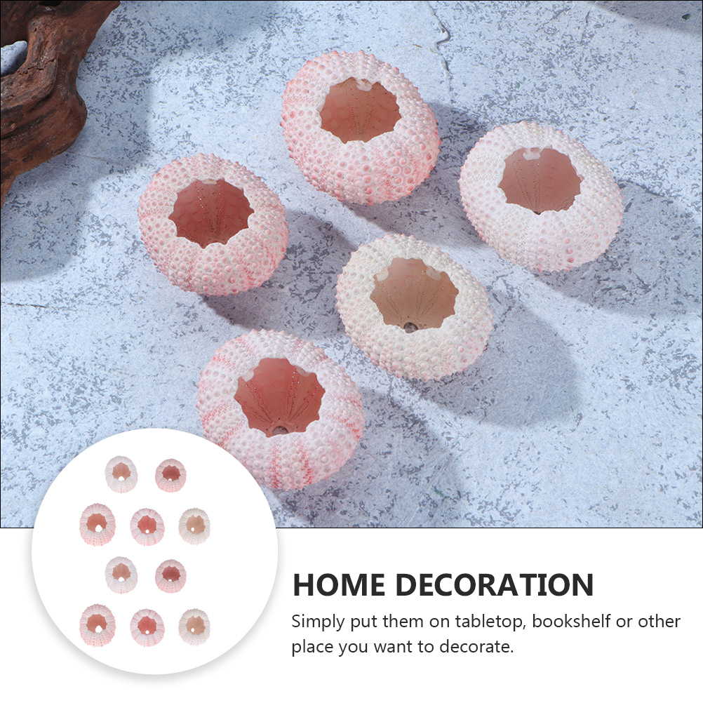 10Pcs DIY Jewelry Making Sea S - Propagation Station Vase recensione e prezzo