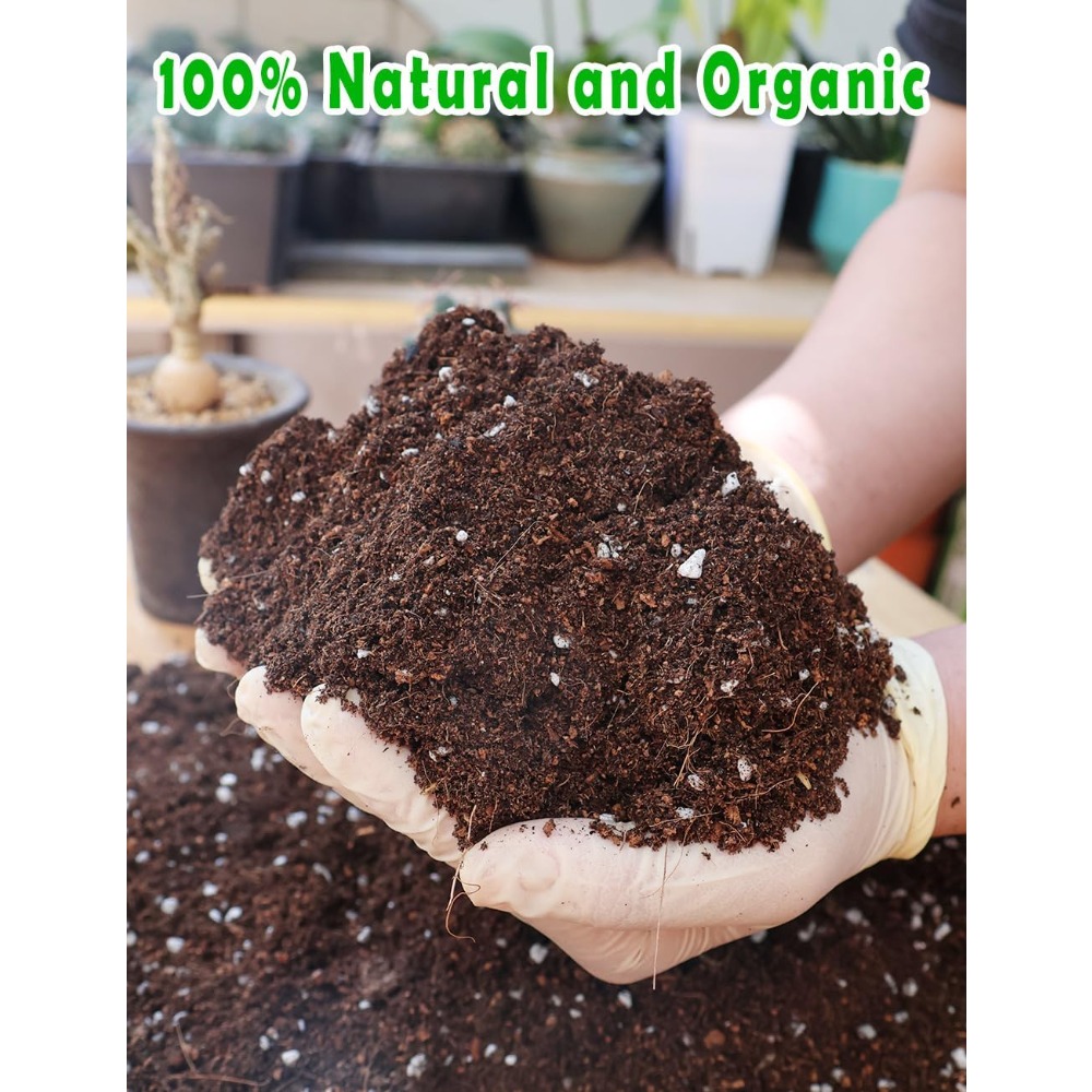 Potting Soil for All Indoor Ho - Coco Perlite Mix recensione e prezzo