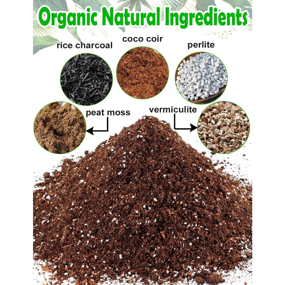 Potting Soil for All Indoor Ho - Coco Perlite Mix recensione e prezzo