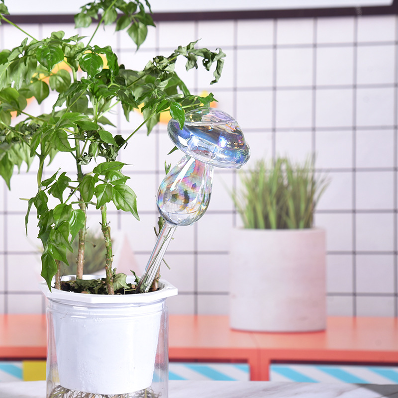 1/2PCS Glass Straw Automatic P - Self Watering Insert recensione e prezzo