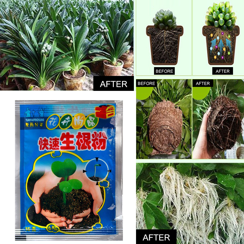 5pcs Fast Rooting Powder Plant - Rooting Hormone Powder recensione e prezzo
