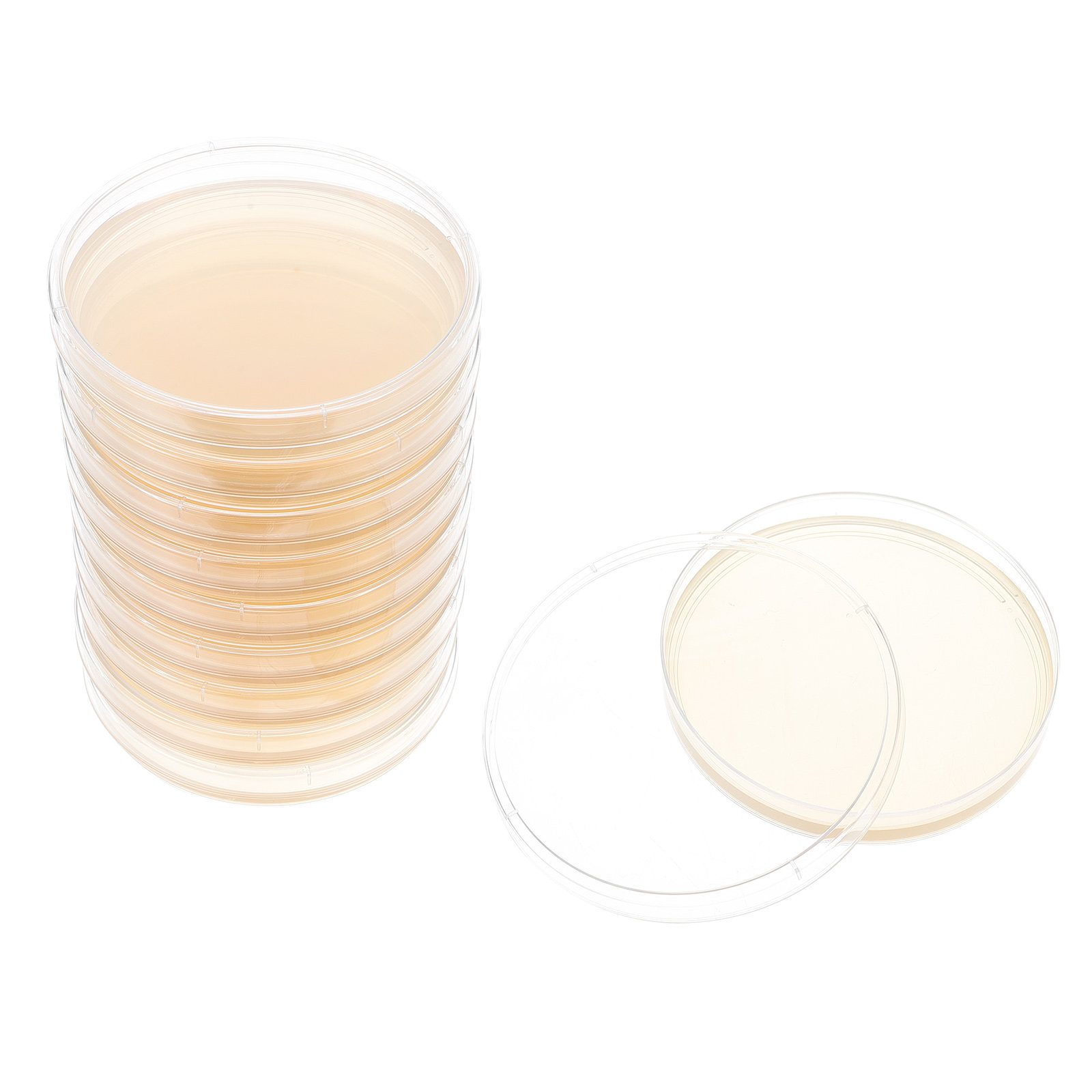 10pcs Nutrient Agar Plates Pre - Agar Tissue Culture recensione e prezzo
