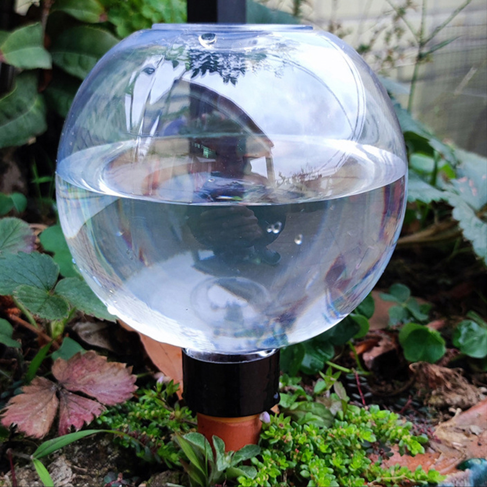 2PCS/4PCS Spherical Automatic  - Self Watering Insert recensione e prezzo