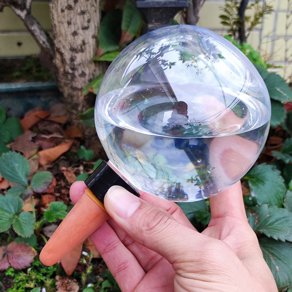 2PCS/4PCS Spherical Automatic  - Self Watering Insert recensione e prezzo