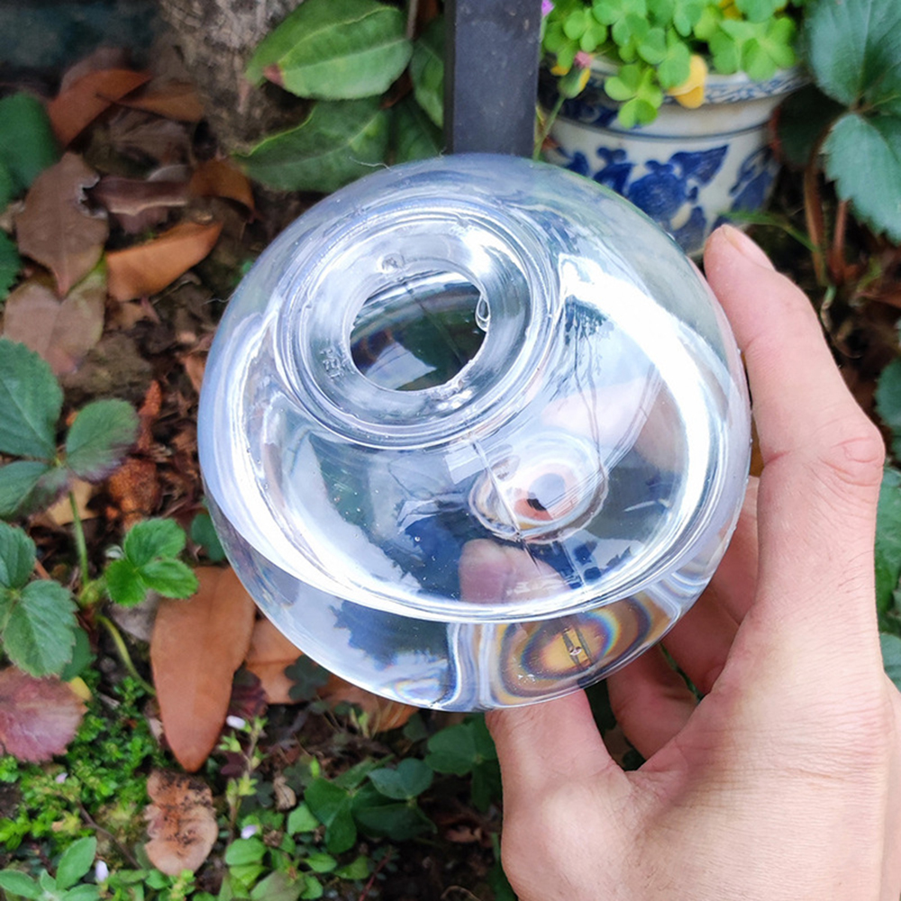 2PCS/4PCS Spherical Automatic  - Self Watering Insert recensione e prezzo