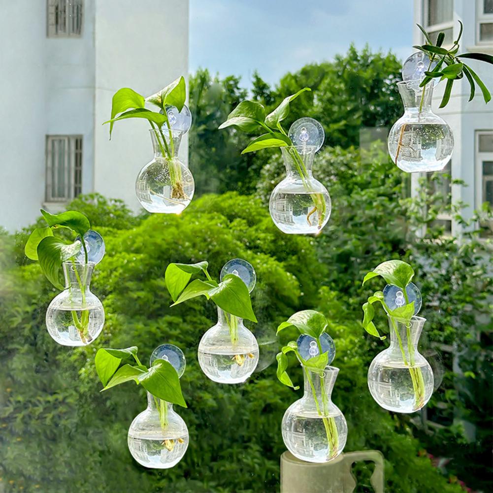 Window Planter Vase Window Pla - Propagation Station Vase recensione e prezzo