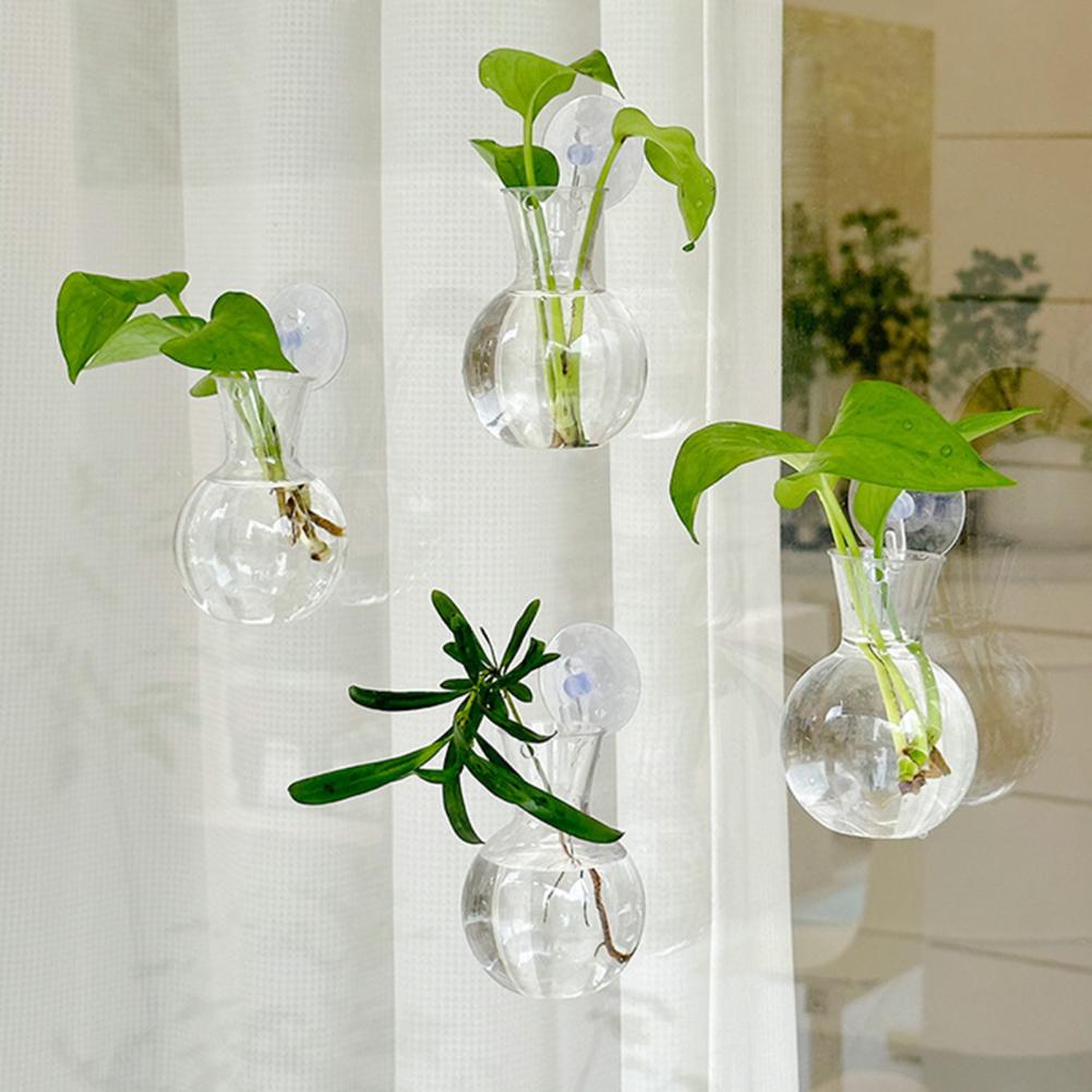 Window Planter Vase Window Pla - Propagation Station Vase recensione e prezzo