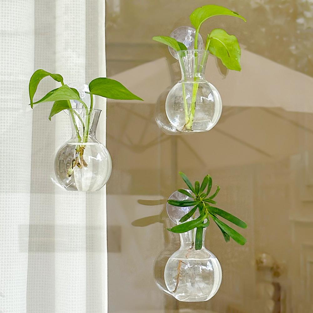 Window Planter Vase Window Pla - Propagation Station Vase recensione e prezzo