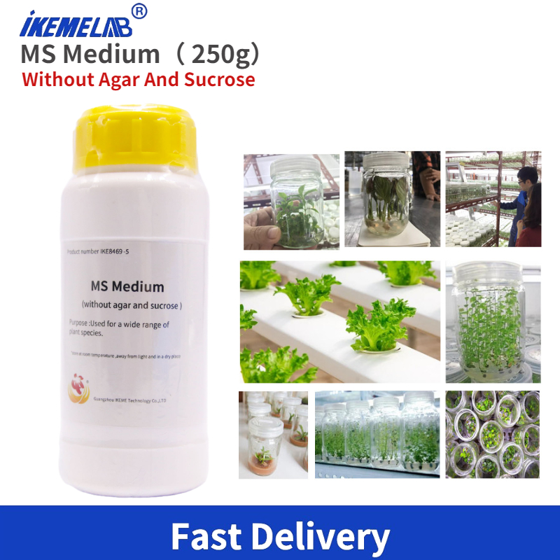 IKEME Lab MS Medium 250g Witho - Agar Tissue Culture recensione e prezzo