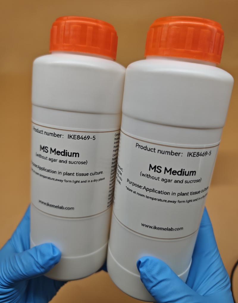 IKEME Lab MS Medium 250g Witho - Agar Tissue Culture recensione e prezzo
