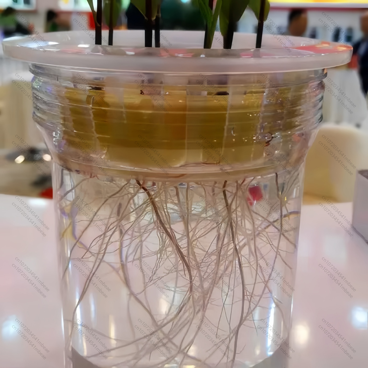 NAA 98% TC 1-Naphthaleneacetic - Rooting Hormone Powder recensione e prezzo