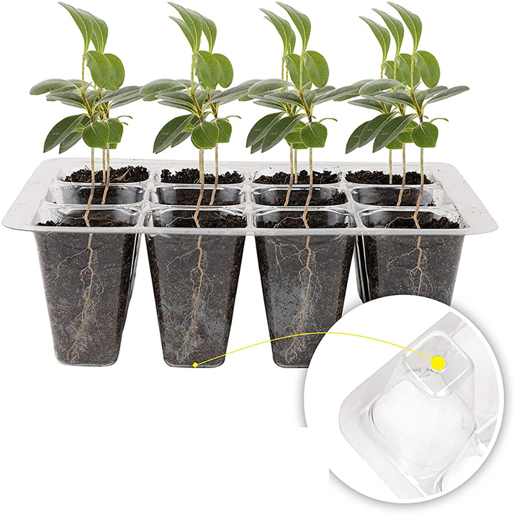 Seed Starter Trays with Grow L - Humidity Dome Kit recensione e prezzo