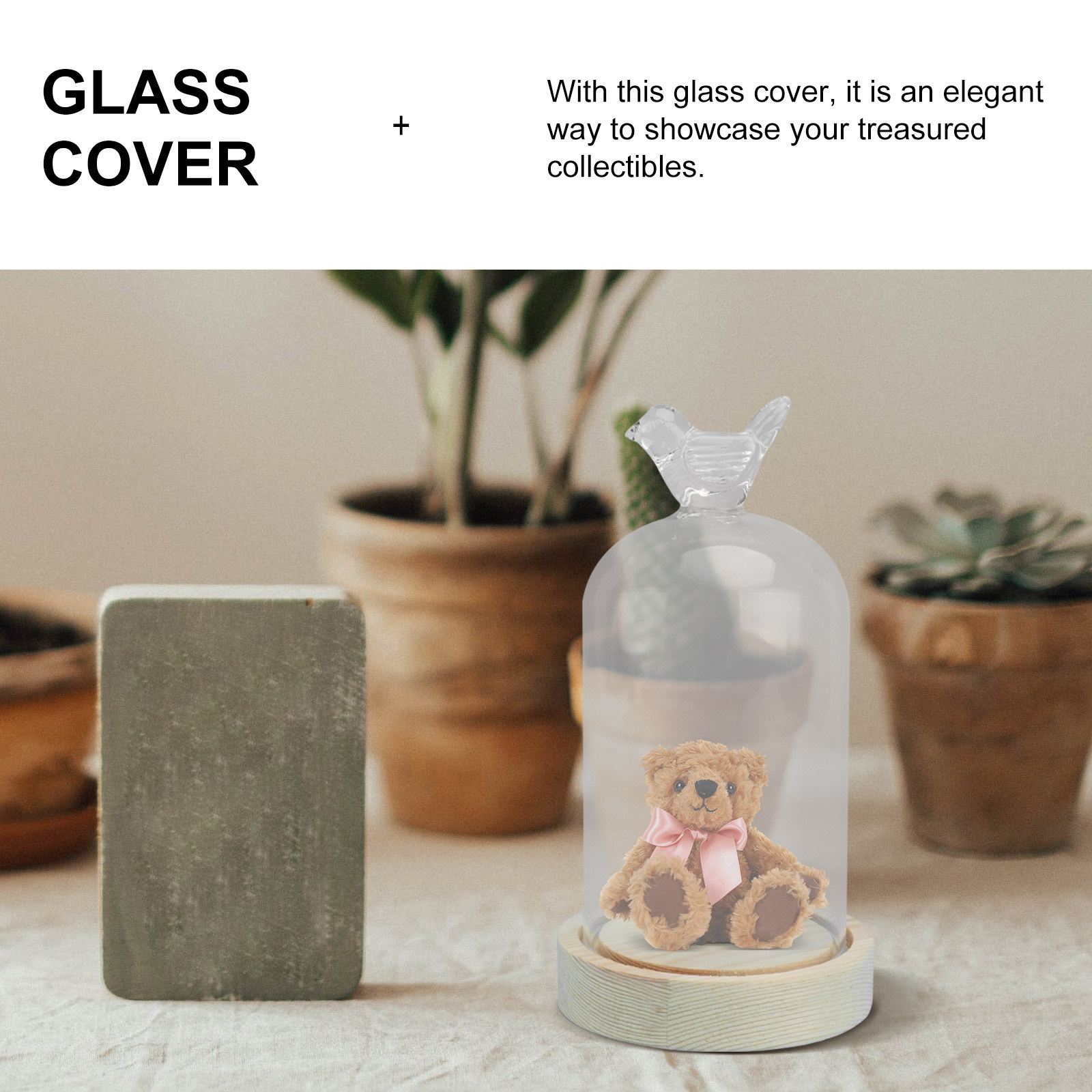 1Pcs Mini Glass Dome Cover Bir - Plastic Dome Clear recensione e prezzo
