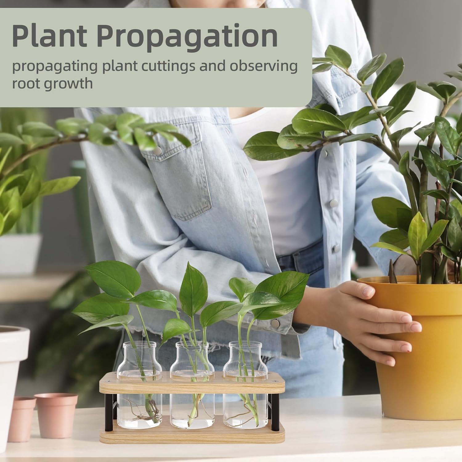 Propagation Station with Woode - Propagation Station Vase recensione e prezzo
