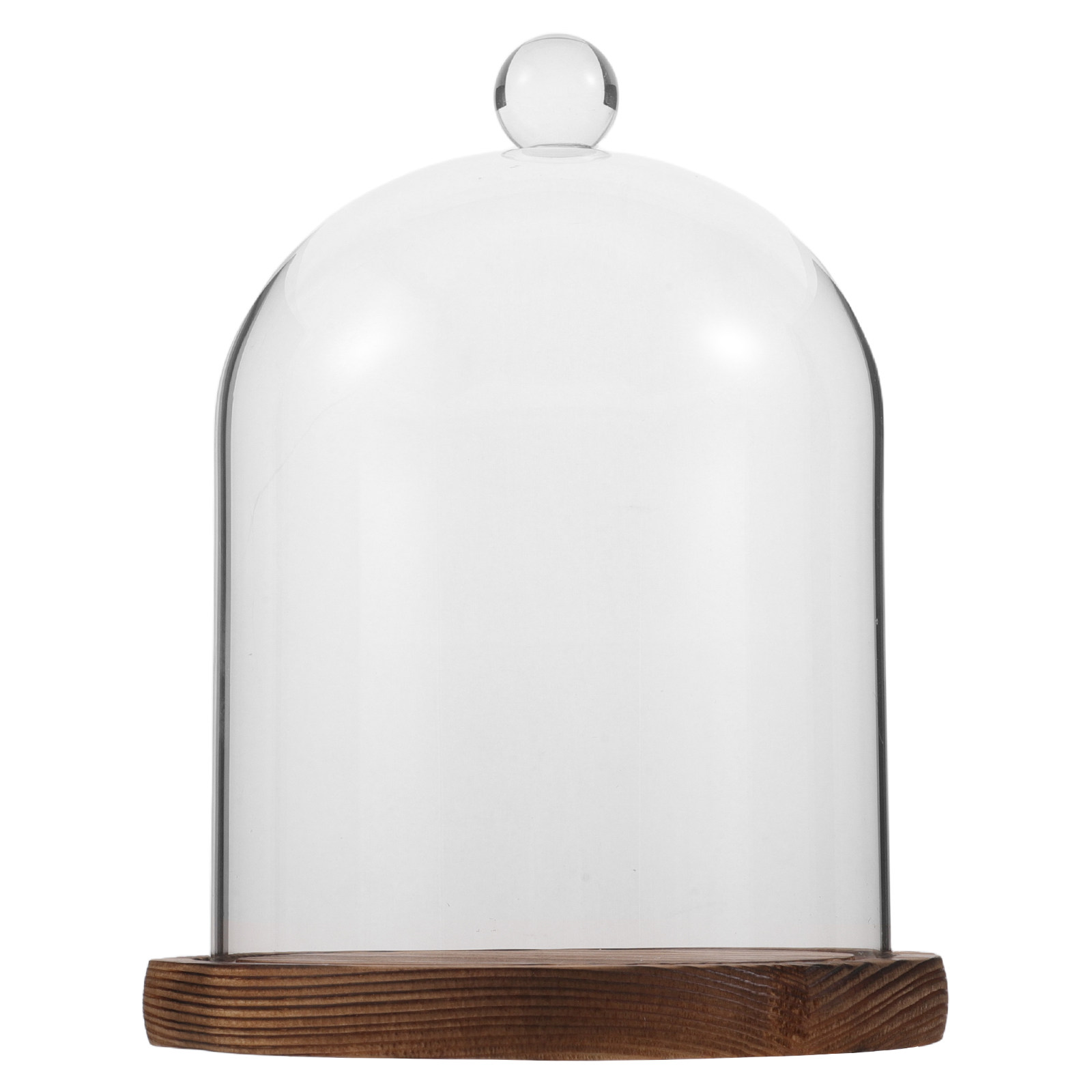 Clear Glass Bell Jar Dome for  - Plastic Dome Clear recensione e prezzo