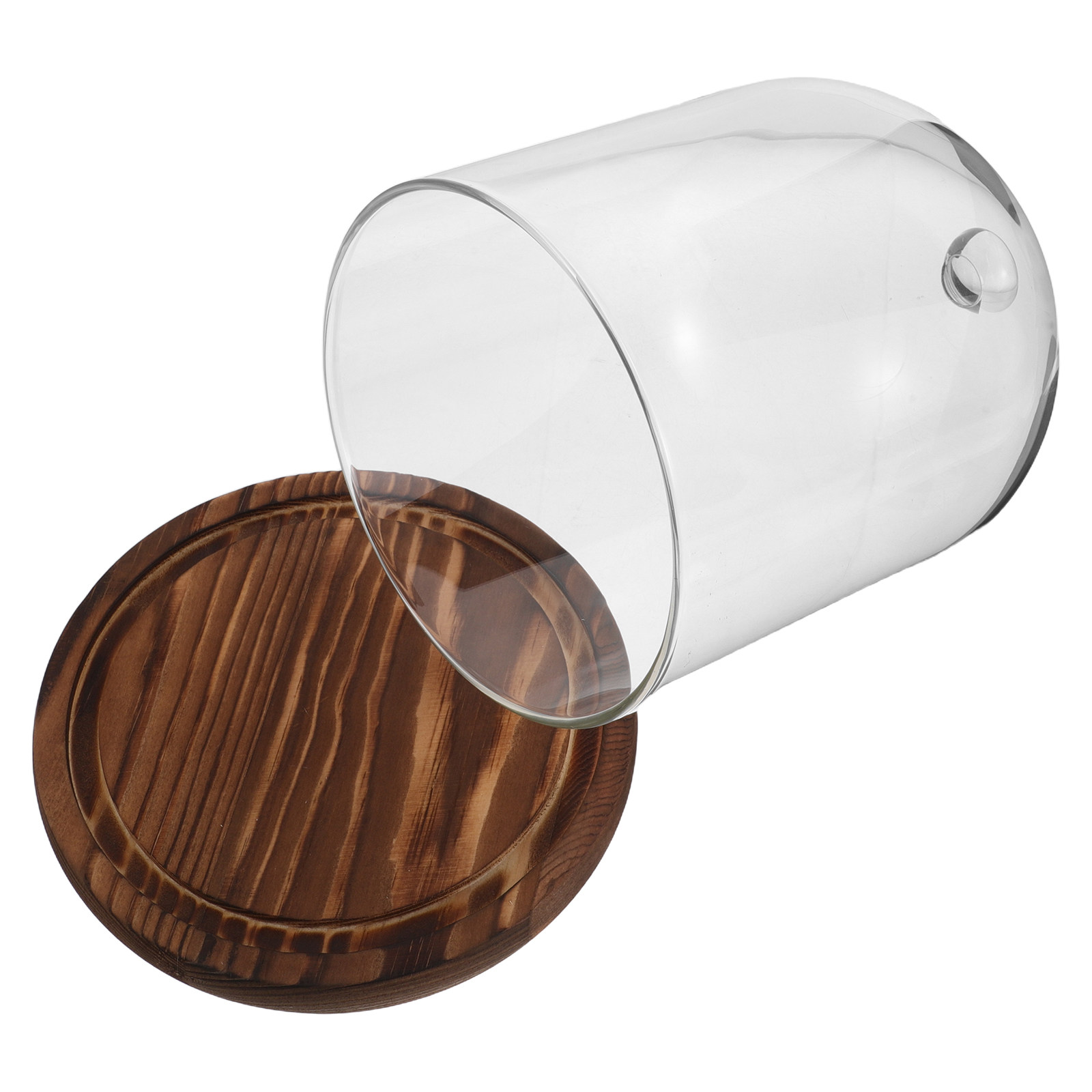 Clear Glass Bell Jar Dome for  - Plastic Dome Clear recensione e prezzo