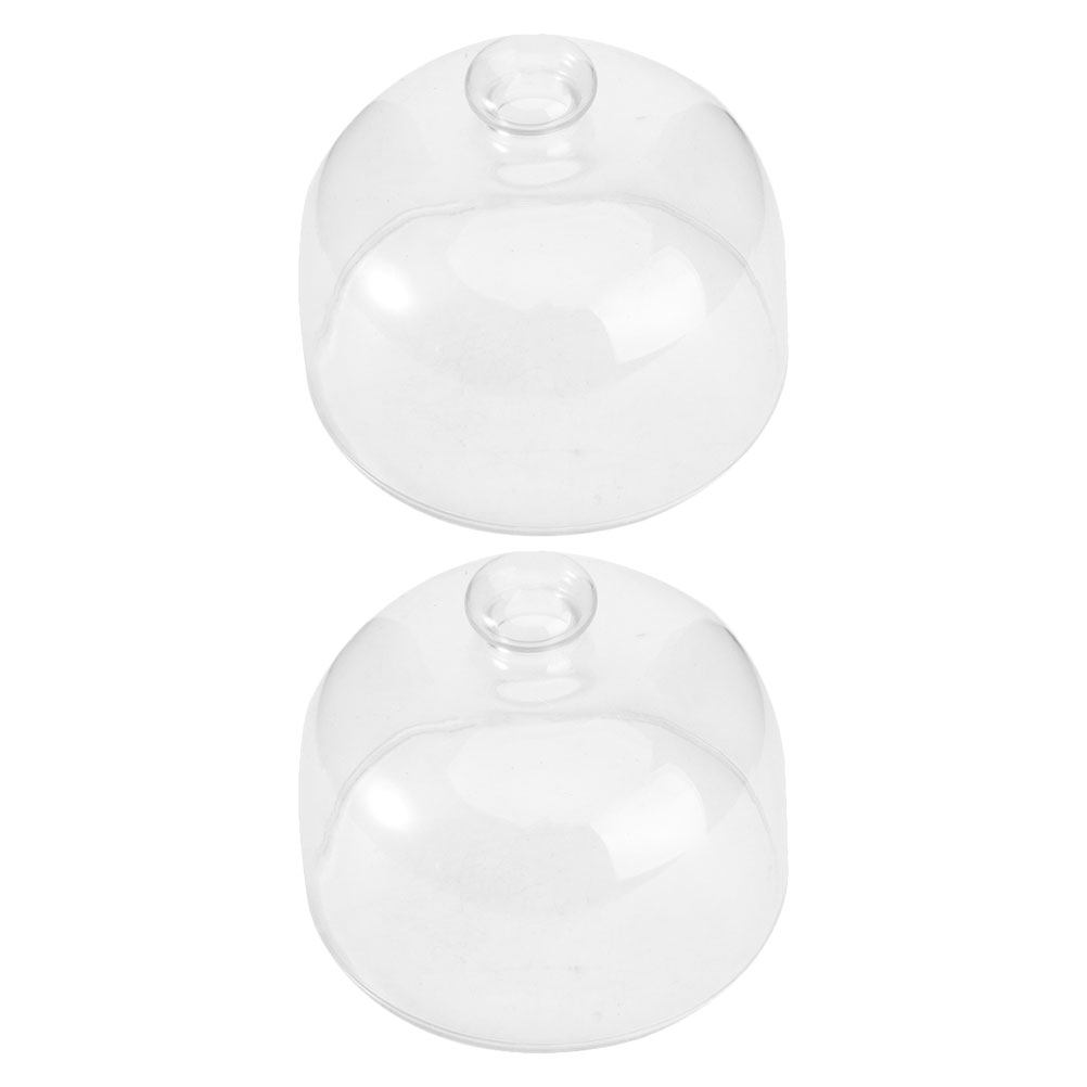 2Pcs Transparent Glass Cake Do - Plastic Dome Clear recensione e prezzo