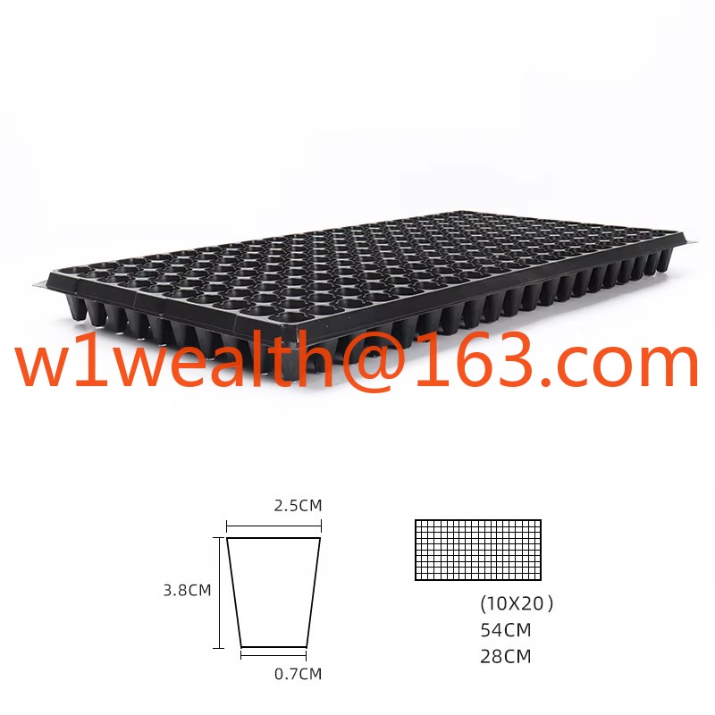 DD3198   72 Cell 100G Garden G - Propagation Tray 72 recensione e prezzo